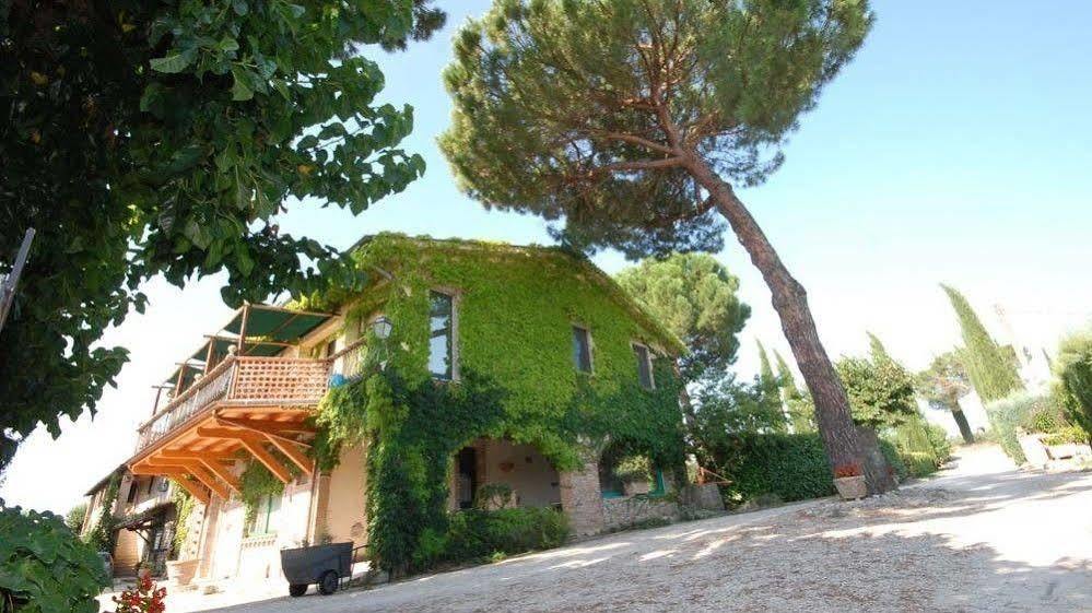 فيلا Pieve Del Castello ديروتا المظهر الخارجي الصورة